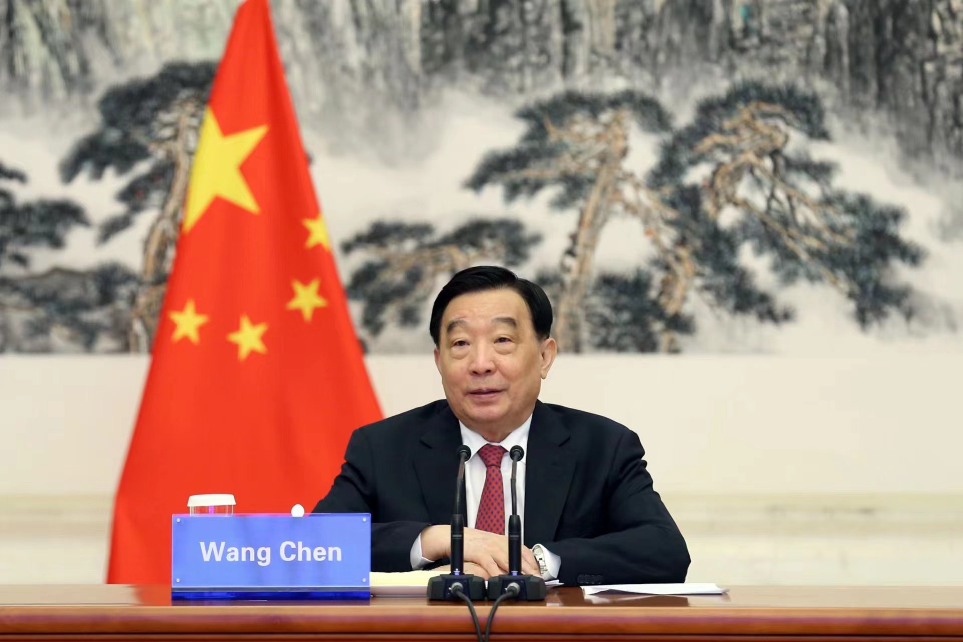 王晨与委内瑞拉全国代表大会第一副主席视频