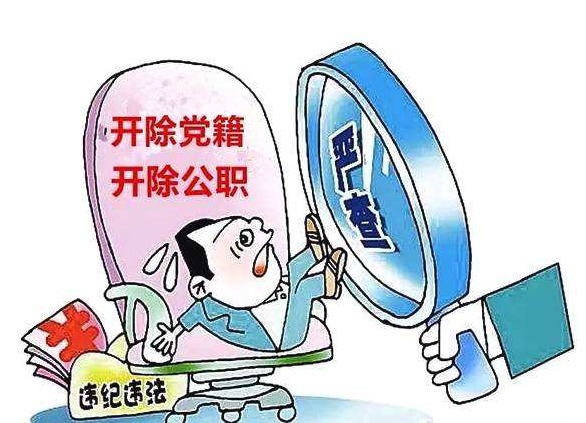 宁夏自治区党委政法委原副书记戴向晖被开除
