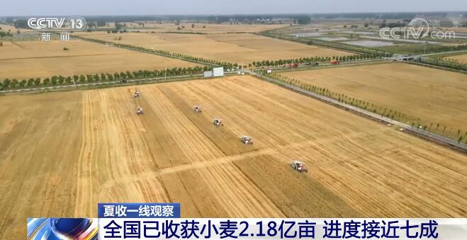 河南夏粮丰收底气足（粮食生产一线探行）