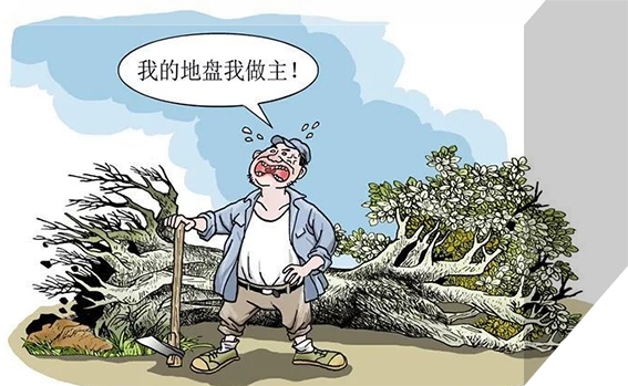 世界环境日：以案释法 护航生态