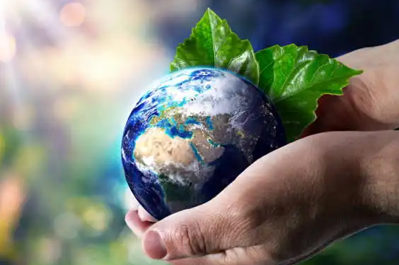 世界环境日 | 白石山林区基层法院开展环