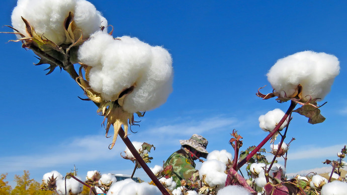 中国纺织工业联合会有关负责人就美国实施涉