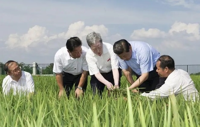 习近平回信勉励种粮大户