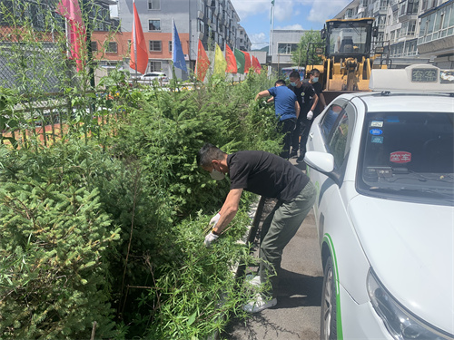 法官清卫生 共创文明城