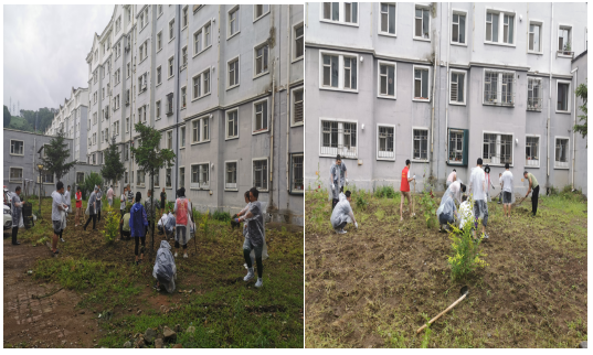 共享共建 群力群策  助力“三城”创建