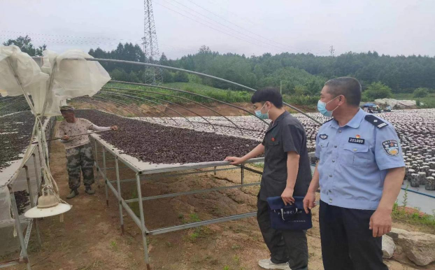 高效执行 精准发力 | 借款纠纷巧解决