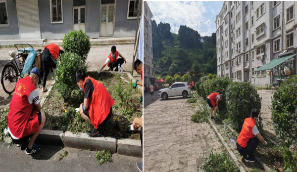 党建引领  团结互助  携手共创美丽社区