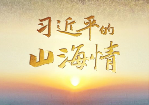 习近平的山海情