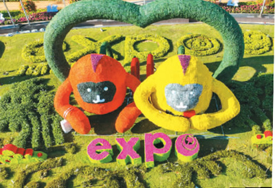 这届消博会，看点真不少