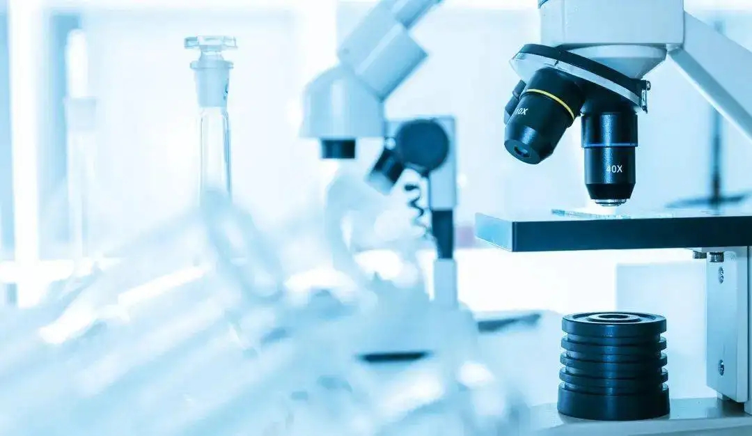 “催化”创新，科研助理来帮忙