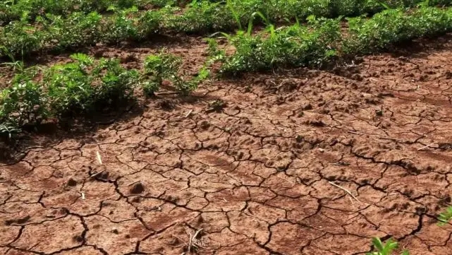 财政部、水利部拨付2亿元支持抗旱