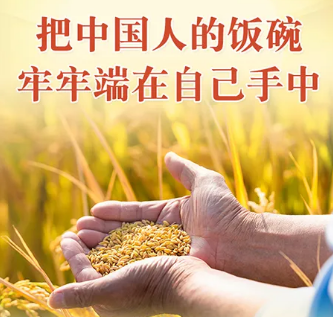 能源的饭碗必须端在自己手里