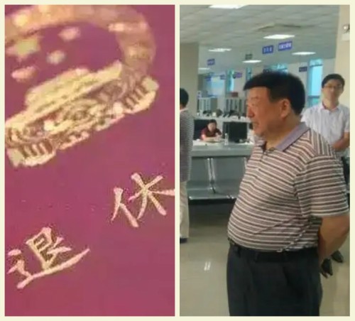 王定业原创：退休畅想曲