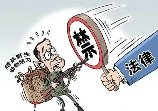 以劳代偿 尽显法治社会人性化温情