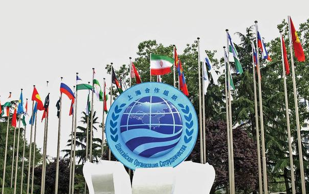 “共同推动上合组织在第三个十年发展得更好