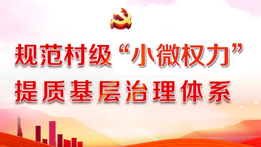 紧盯村级小微权力运行