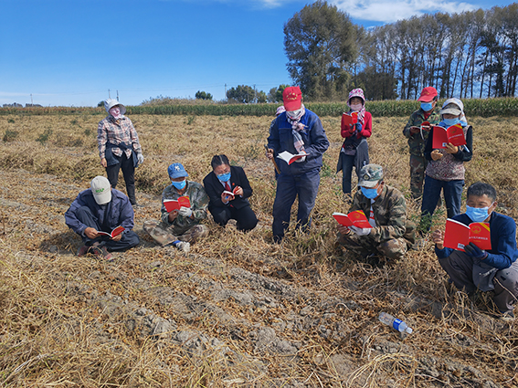 秋风起，麦穗黄，普法忙 乾安法院普法宣传