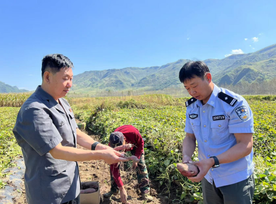 深入排查化纠纷 助力秋收解民忧