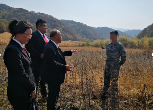 分手彩礼不退还 “邂逅”法官解烦忧