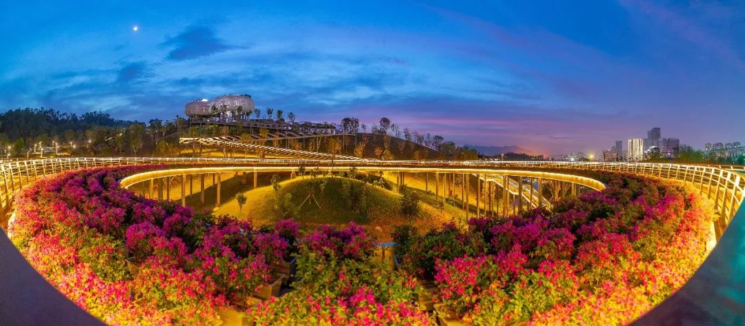 美丽中国：协同治理  守护大美湿地