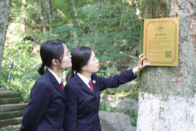 以公益诉讼检察工作助推“生态之美” 让绿