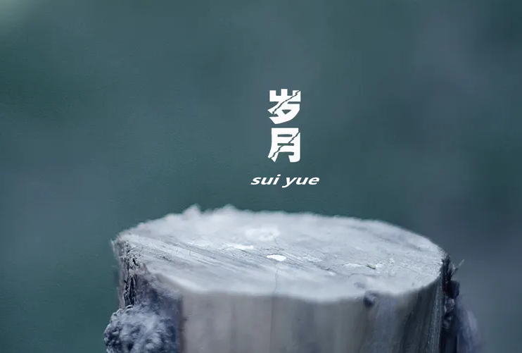 王定业原创:已失的岁月