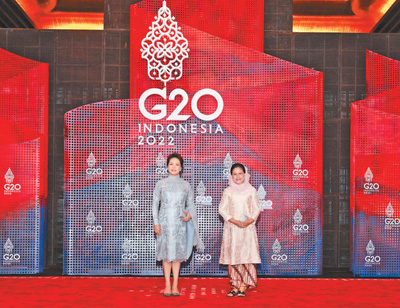 彭丽媛会见印度尼西亚总统夫人伊莉亚娜