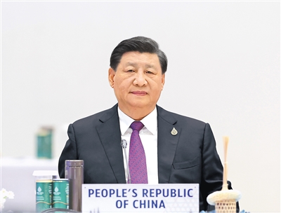 习近平出席亚太经合组织第二十九次领导人非