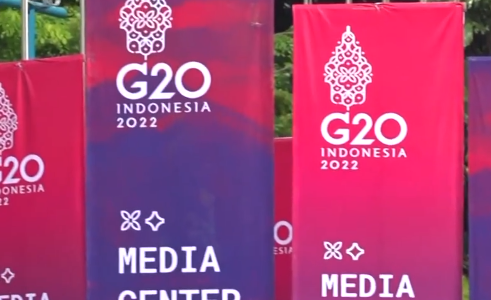 习近平主席的二十国集团领导人巴厘岛峰会时