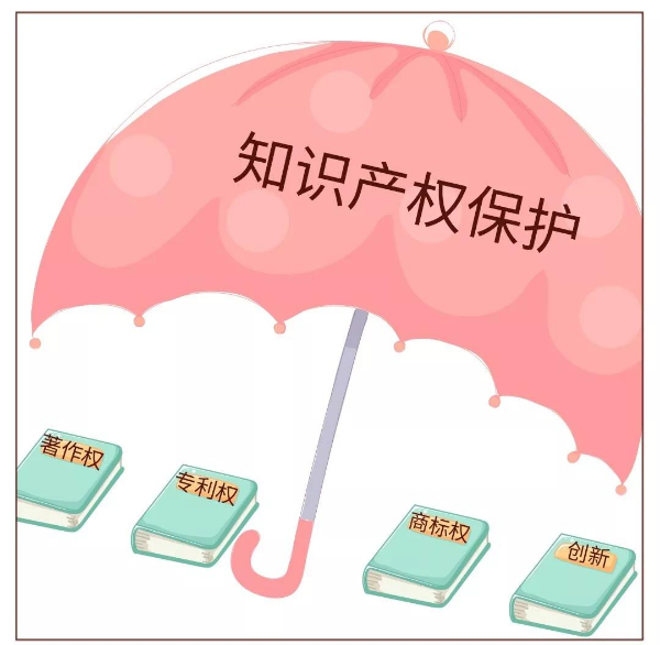 知识产权保护  船营法院在行动