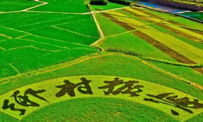 建设宜居宜业和美乡村（全面推进乡村振兴）