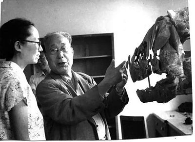 我国古脊椎动物学之父杨钟健
