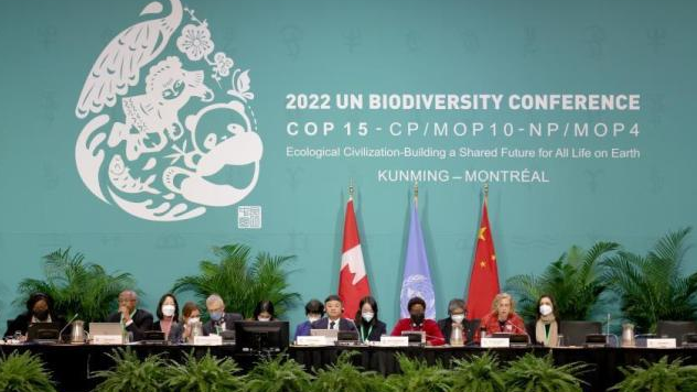 生态环境部部长黄润秋：中加将合作确保CO