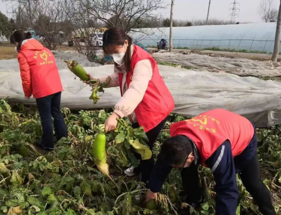 周口市六一路小学开展助农销菜爱心行活动