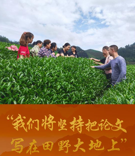 总书记叮嘱“把论文写在田野大地上”