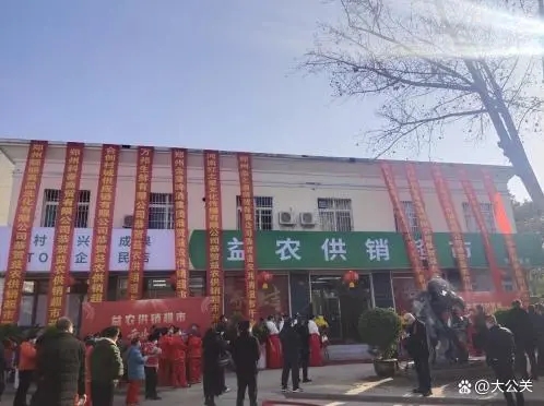 长白县人民法院开展春节走访慰问活动