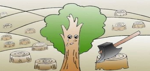 未在批复规定时间内采伐林木获刑