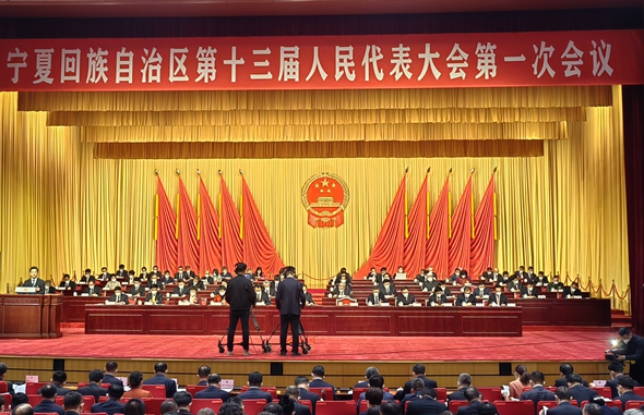 宁夏：在高质量发展新路上跑出众跑出彩 