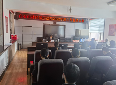 踔厉奋发、挺膺担当  白石山林区基层法院