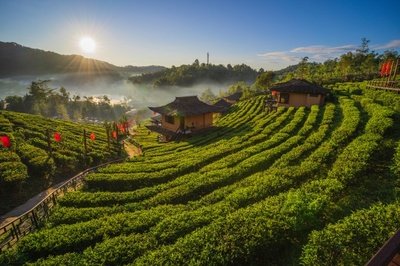 1676343451818900.jpg t017fd36e59cb213fd7.jpg