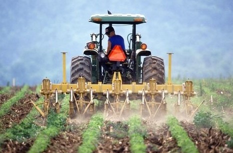 全面推进乡村振兴  加快建设农业强国