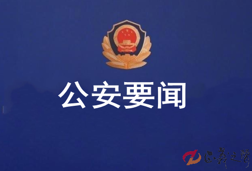 公安机关严厉打击防范文物犯罪