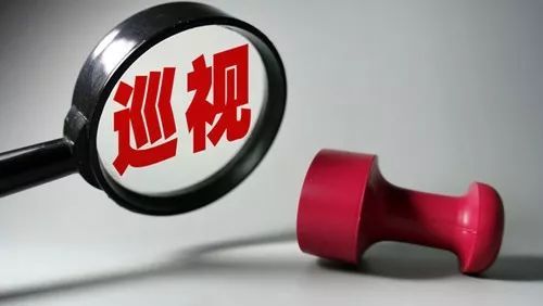 有力发挥政治巡视利剑作用