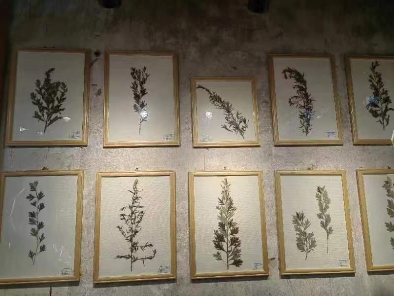 “艾”的记忆  “爱”的产业