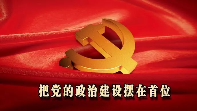 以党的政治建设为统领，扎实推进党的各方面