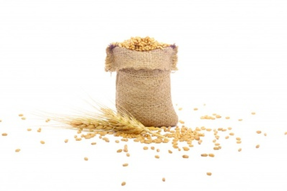 福建将专项整治粮食购销领域问题与推动建章