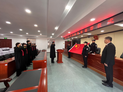 临江市人民法院举行新任职领导干部宪法宣誓