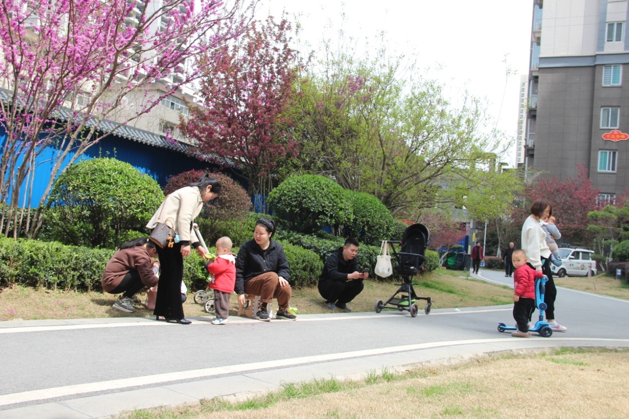 1680095588525395.jpg 04.jpg