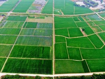 新时代新征程新伟业|农业农村现代化阔步前