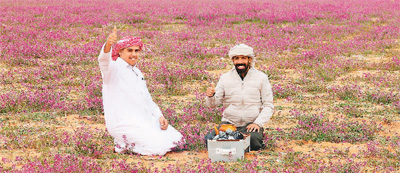 和解与对抗交织 机遇与挑战并存 “一个新